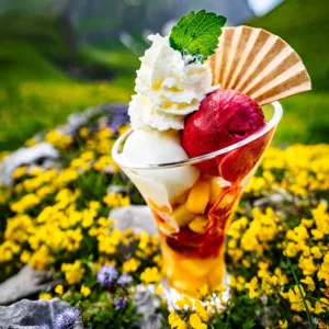 Glace4 1