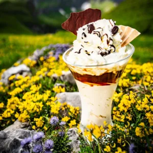 Glace5 1