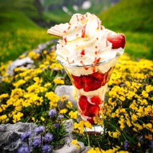 Glace1 1
