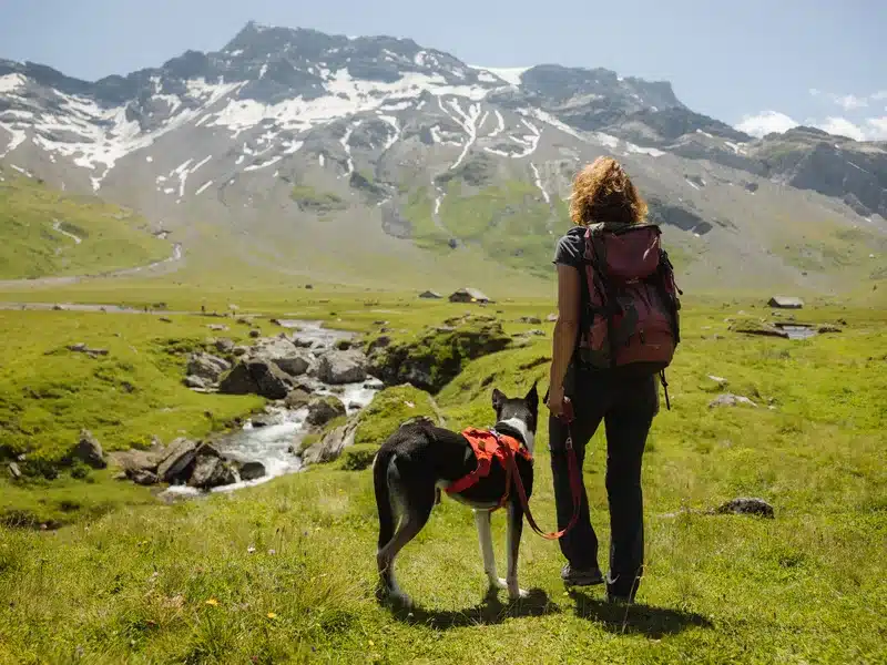wandernmithund jpg