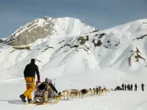 winter events